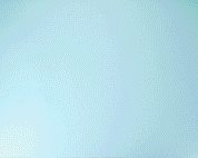 Chici Mama Variety Pack